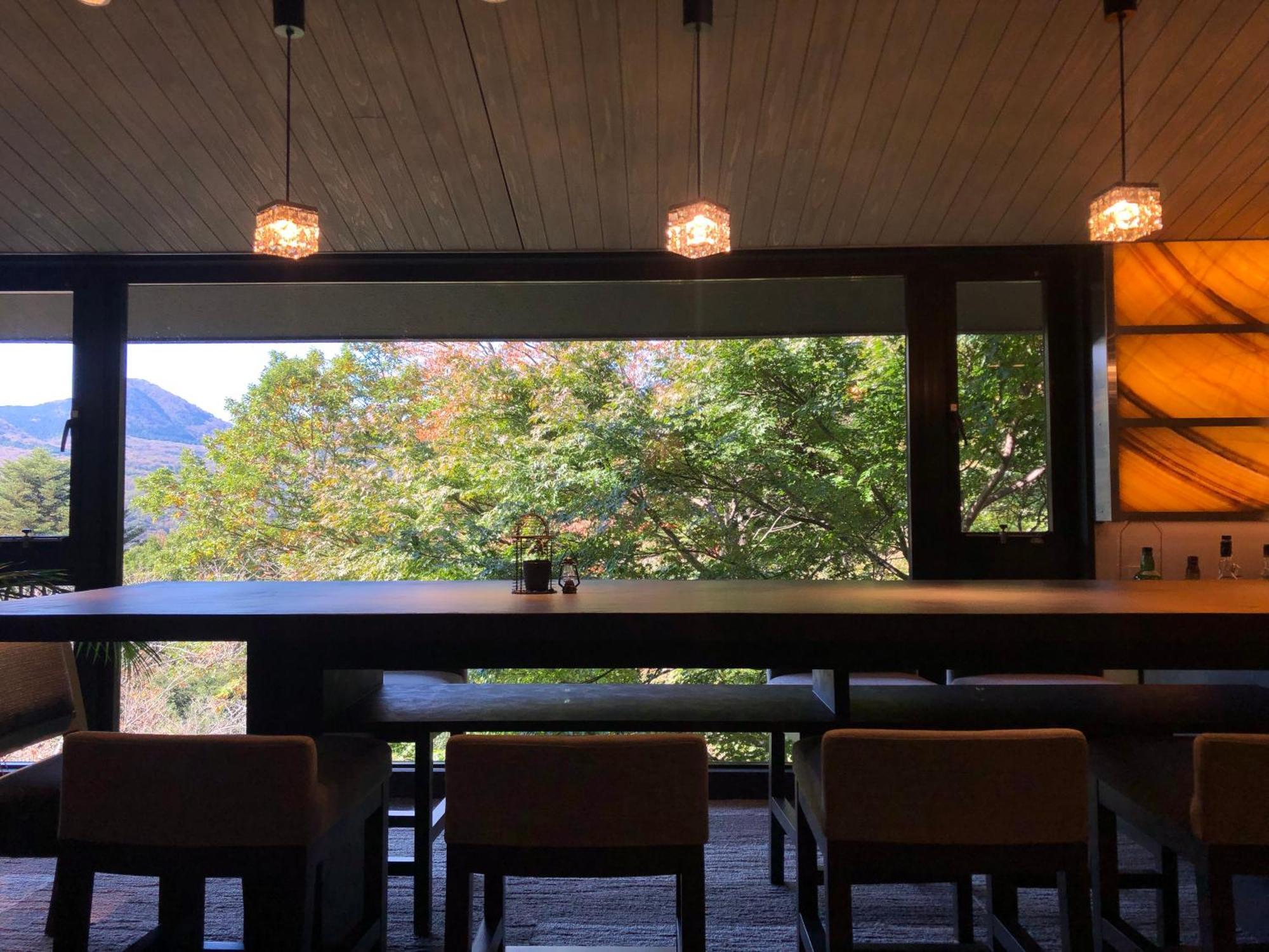 Hakone Elecasa Hotel And Spa Eksteriør billede